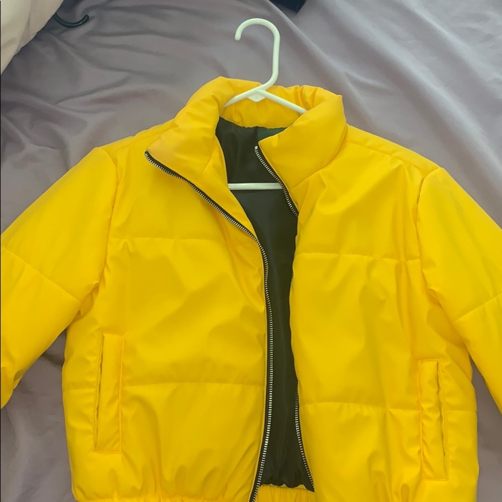 Yellow Jacket